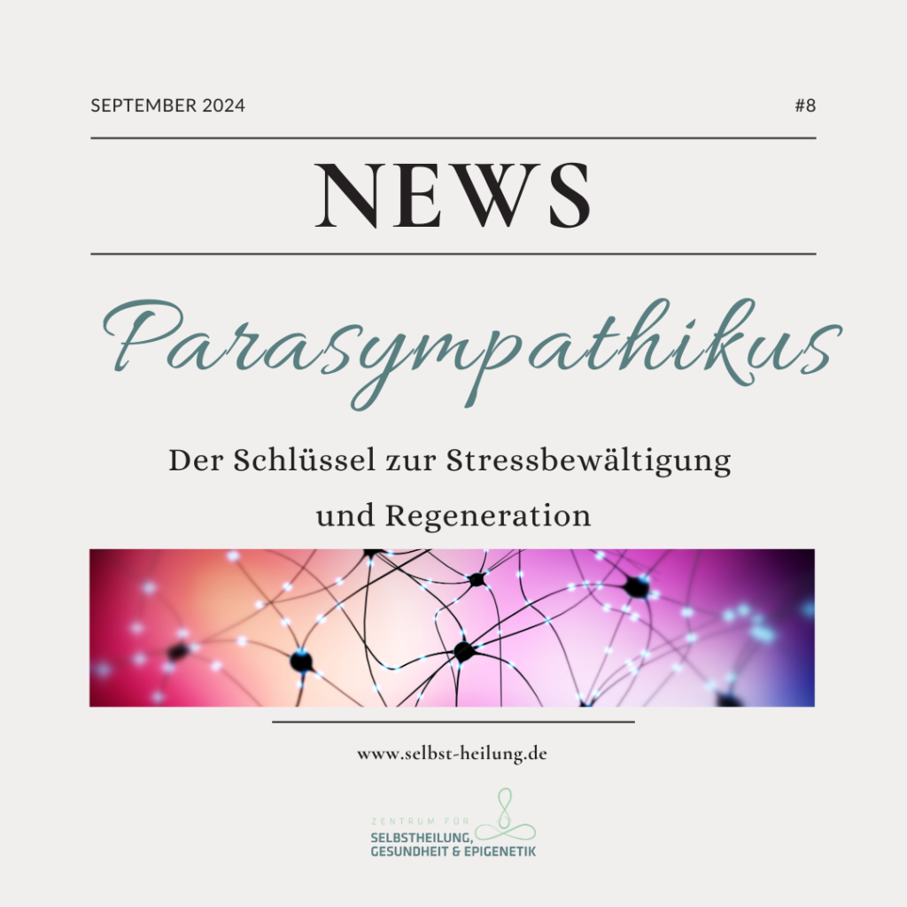 Artikel: Parasympathikus