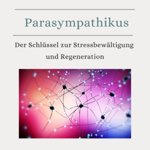 Artikel: Parasympathikus