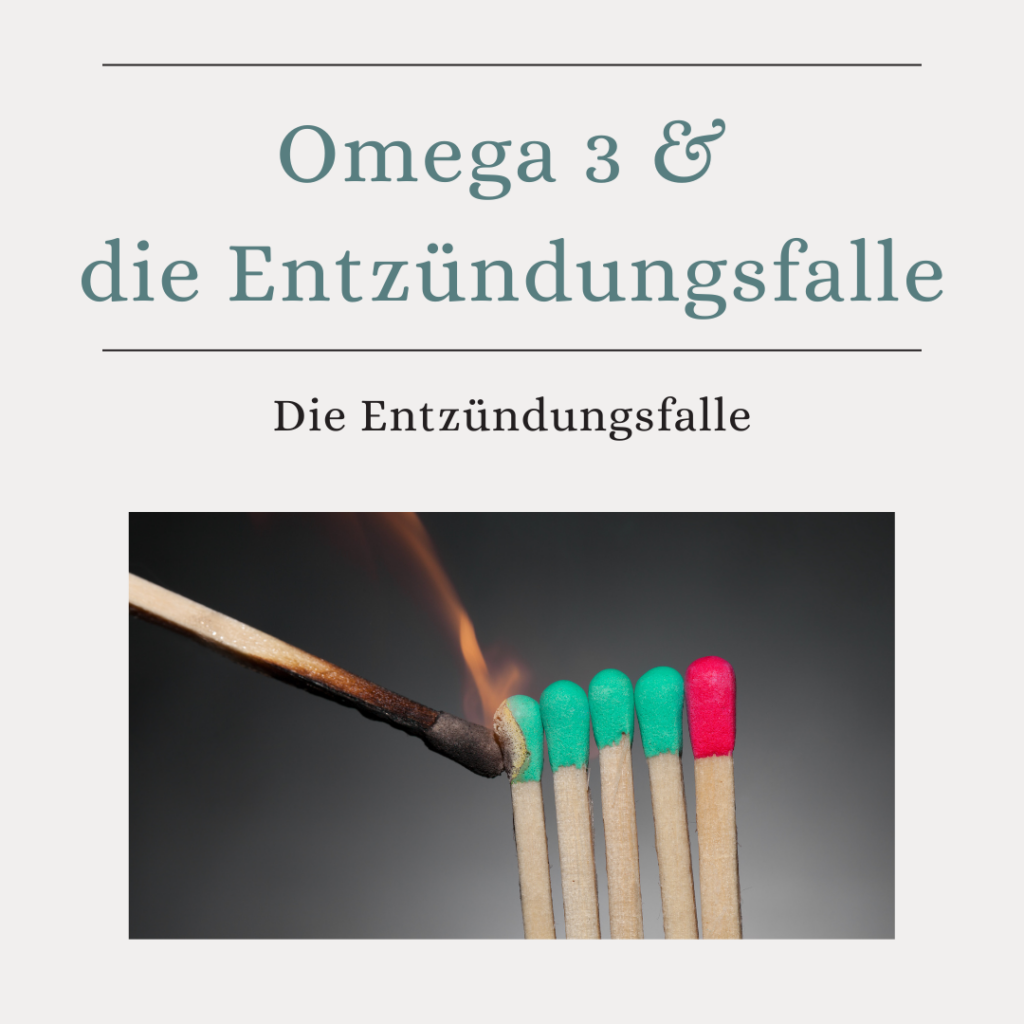 Omega-3 und die Entzündungsfalle