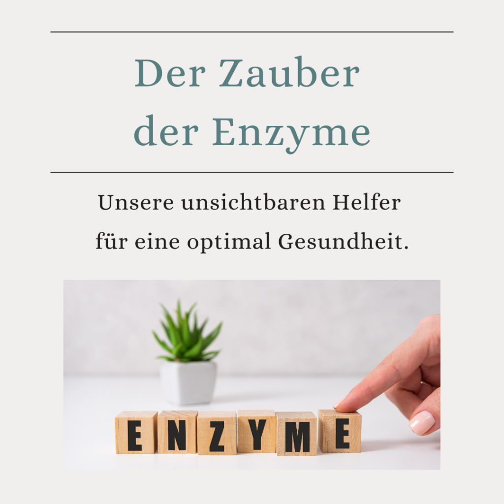 Der Zauber der Enzyme